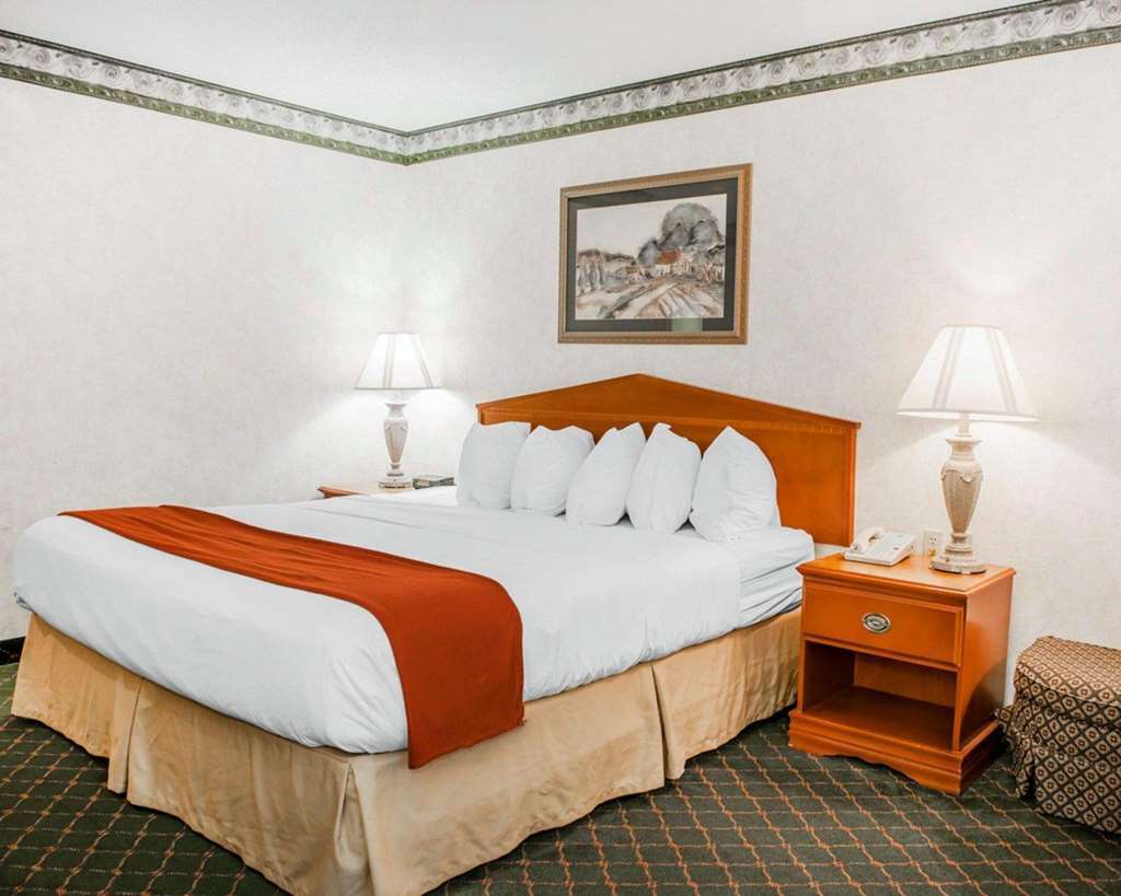 Quality Inn & Suites Brownsburg - Indianapolis West Værelse billede